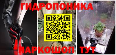 тгк Ачхой-Мартан